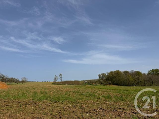 terrain à vendre - 3470.0 m2 - VILLEROY - 89 - BOURGOGNE - Century 21 Martinot Immobilier