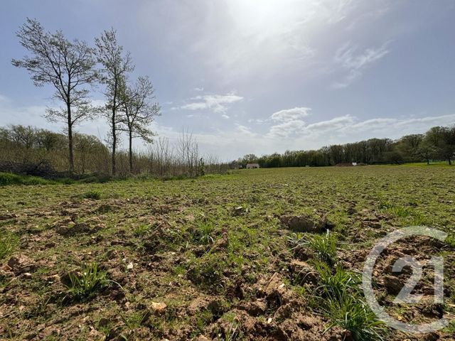 terrain à vendre - 3470.0 m2 - VILLEROY - 89 - BOURGOGNE - Century 21 Martinot Immobilier