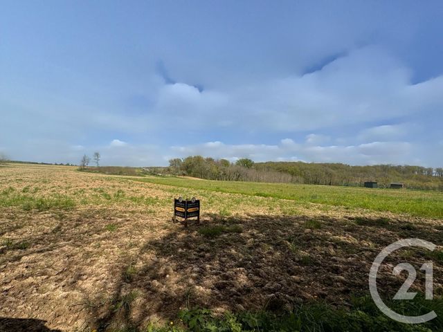 terrain à vendre - 3470.0 m2 - VILLEROY - 89 - BOURGOGNE - Century 21 Martinot Immobilier