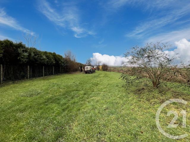 terrain - FOISSY SUR VANNE - 89