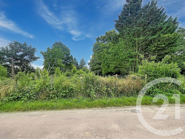 terrain à vendre - 12169.0 m2 - VILLENEUVE SUR YONNE - 89 - BOURGOGNE - Century 21 Martinot Immobilier