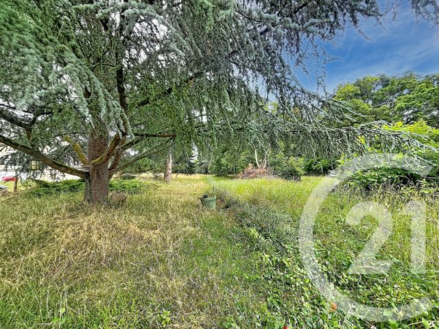 terrain à vendre - 12169.0 m2 - VILLENEUVE SUR YONNE - 89 - BOURGOGNE - Century 21 Martinot Immobilier