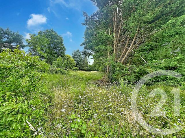 terrain à vendre - 12169.0 m2 - VILLENEUVE SUR YONNE - 89 - BOURGOGNE - Century 21 Martinot Immobilier