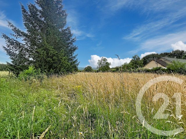 terrain à vendre - 2281.0 m2 - VILLENEUVE SUR YONNE - 89 - BOURGOGNE - Century 21 Martinot Immobilier