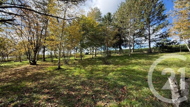 maison à vendre - 5 pièces - 81.21 m2 - LES VALLEES DE LA VANNE - 89 - BOURGOGNE - Century 21 Martinot Immobilier