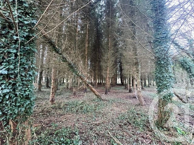 maison à vendre - 11 pièces - 270.62 m2 - LAILLY - 89 - BOURGOGNE - Century 21 Martinot Immobilier